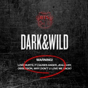 방탄소년단 - 정규 1집 Dark & Wild